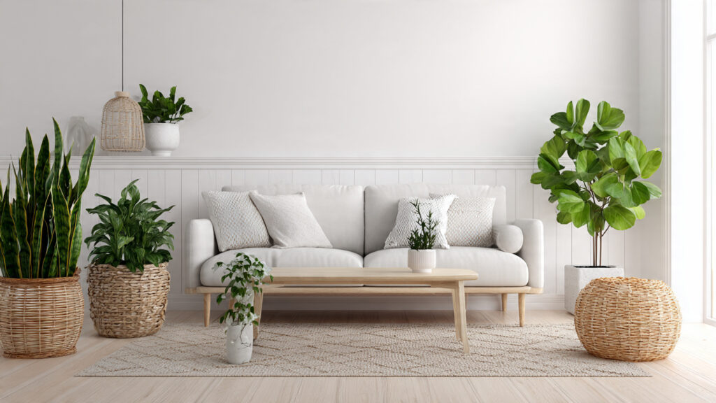 Fresh Green Decor