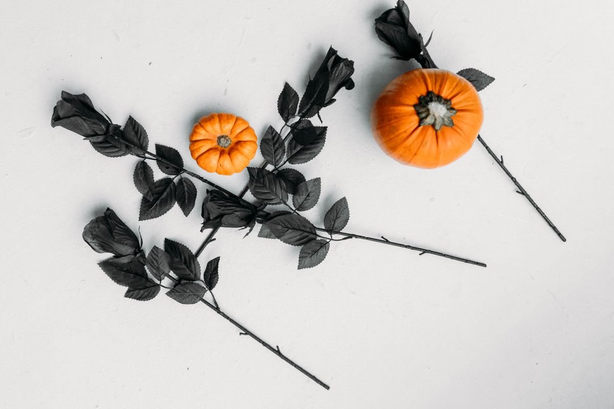 Black roses and pumpkins styled as elegant halloween home decor
