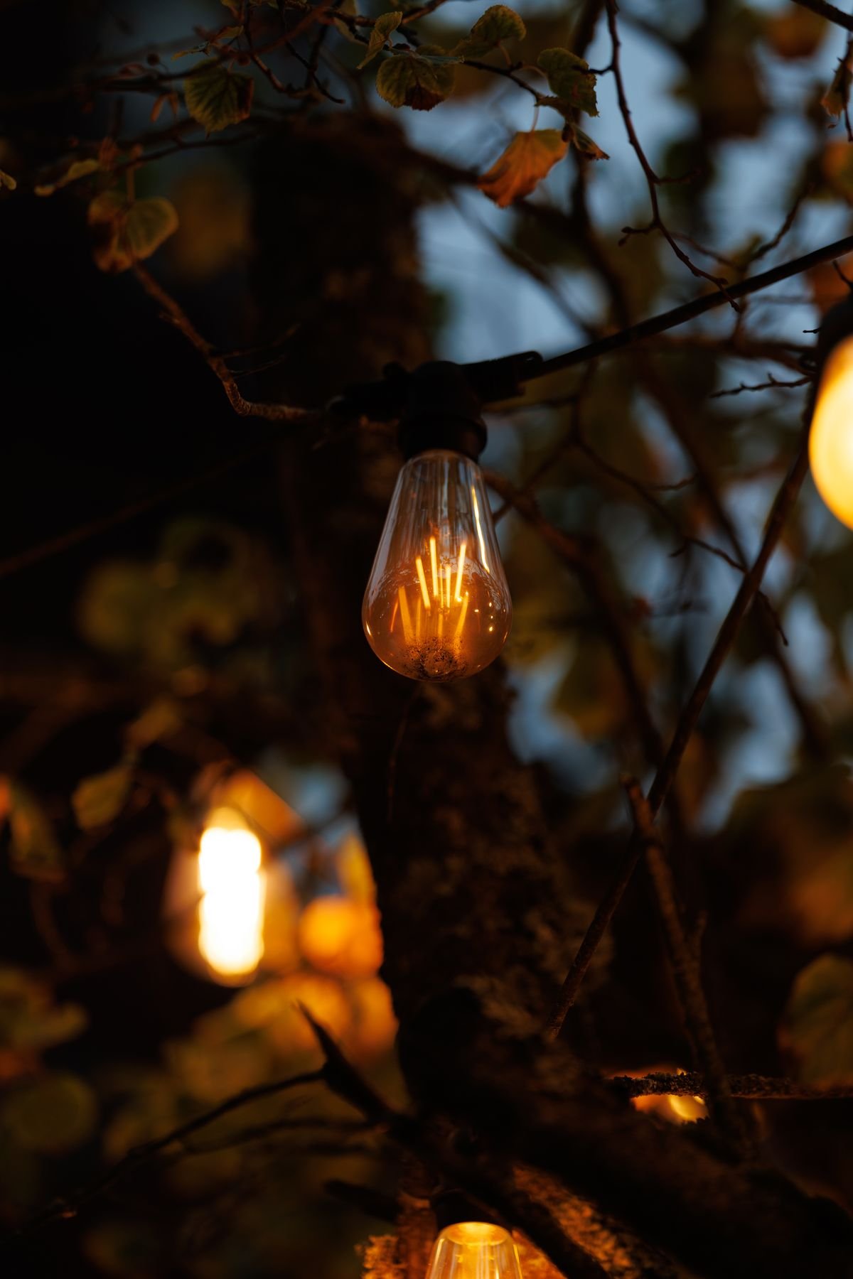 Warm string lights glowing in a garden at dusk, fall outdoor lighting ideas