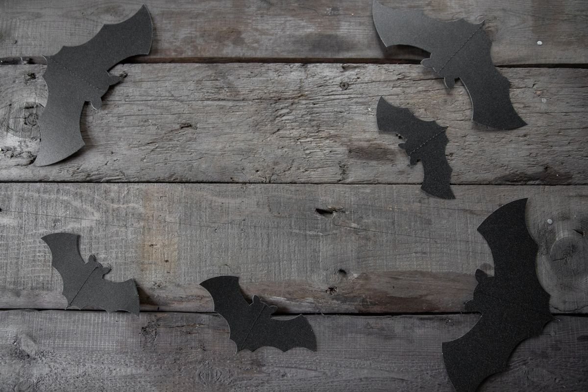 Paper bat silhouettes scattered along a hallway wall for halloween