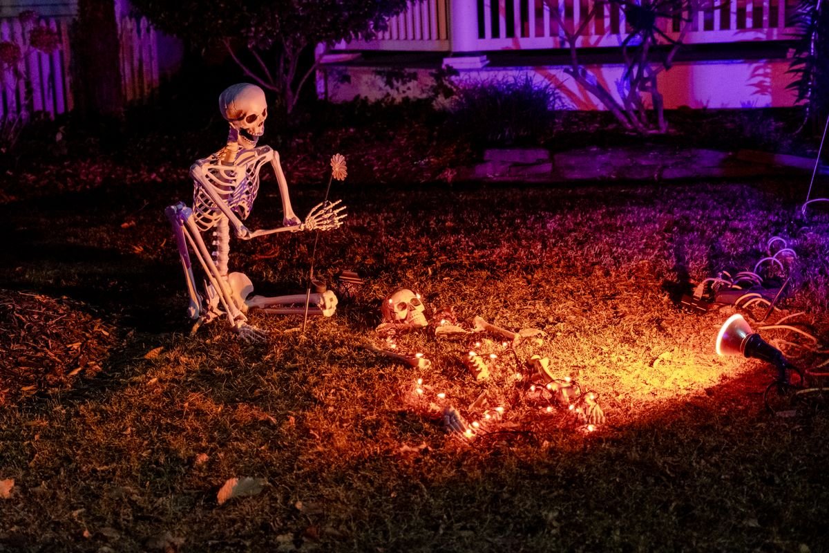 Skeleton decoration in a garden with eerie Halloween lighting