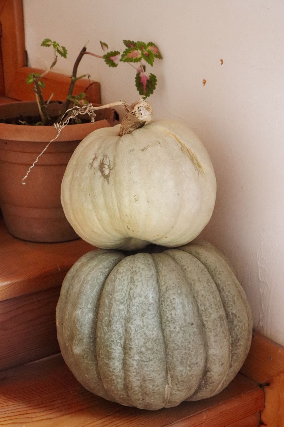 Stacked heirloom pumpkins in muted tones beside a rustic fireplace