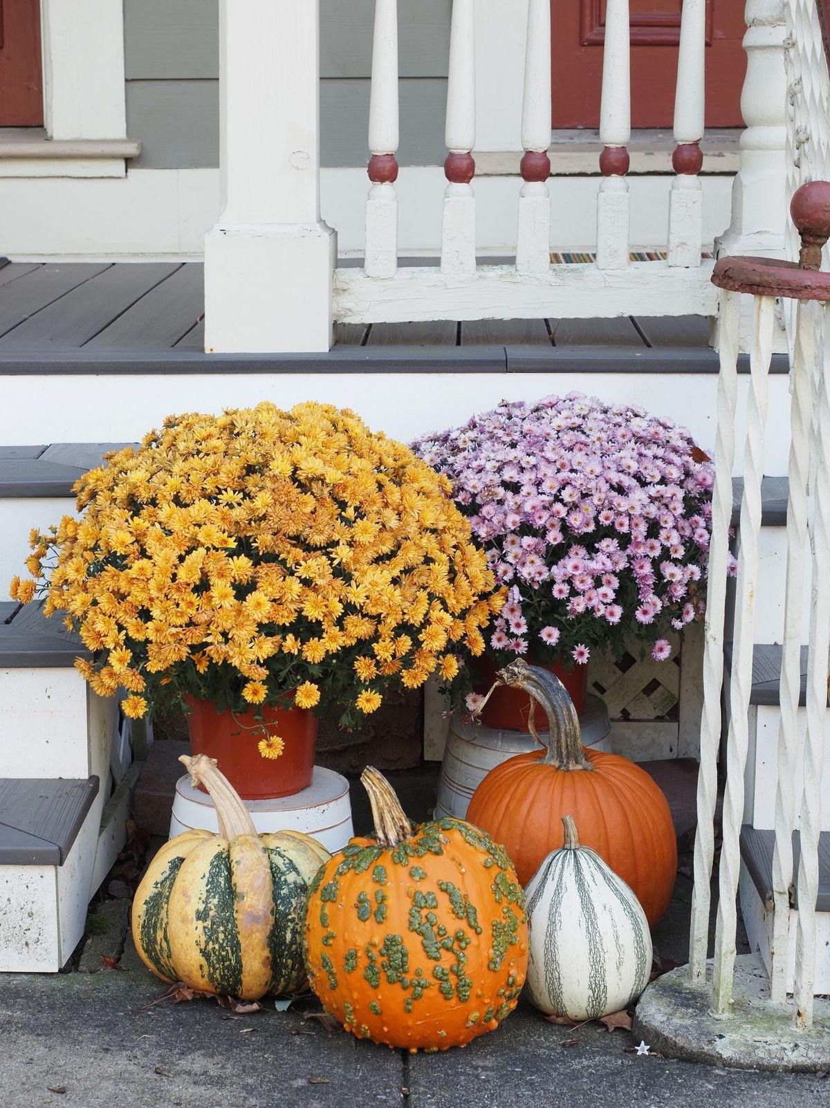 Mums in galvanized buckets topped with small pumpkins on a porch