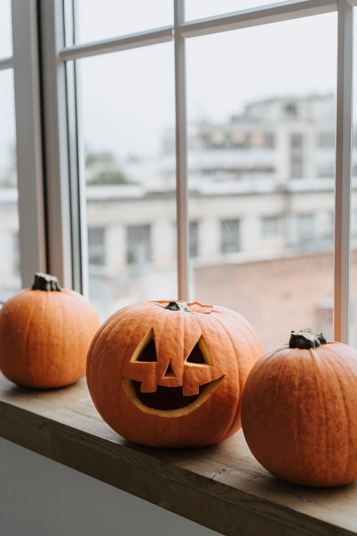 Mini pumpkins lined along a kitchen windowsill for halloween home decor ideas