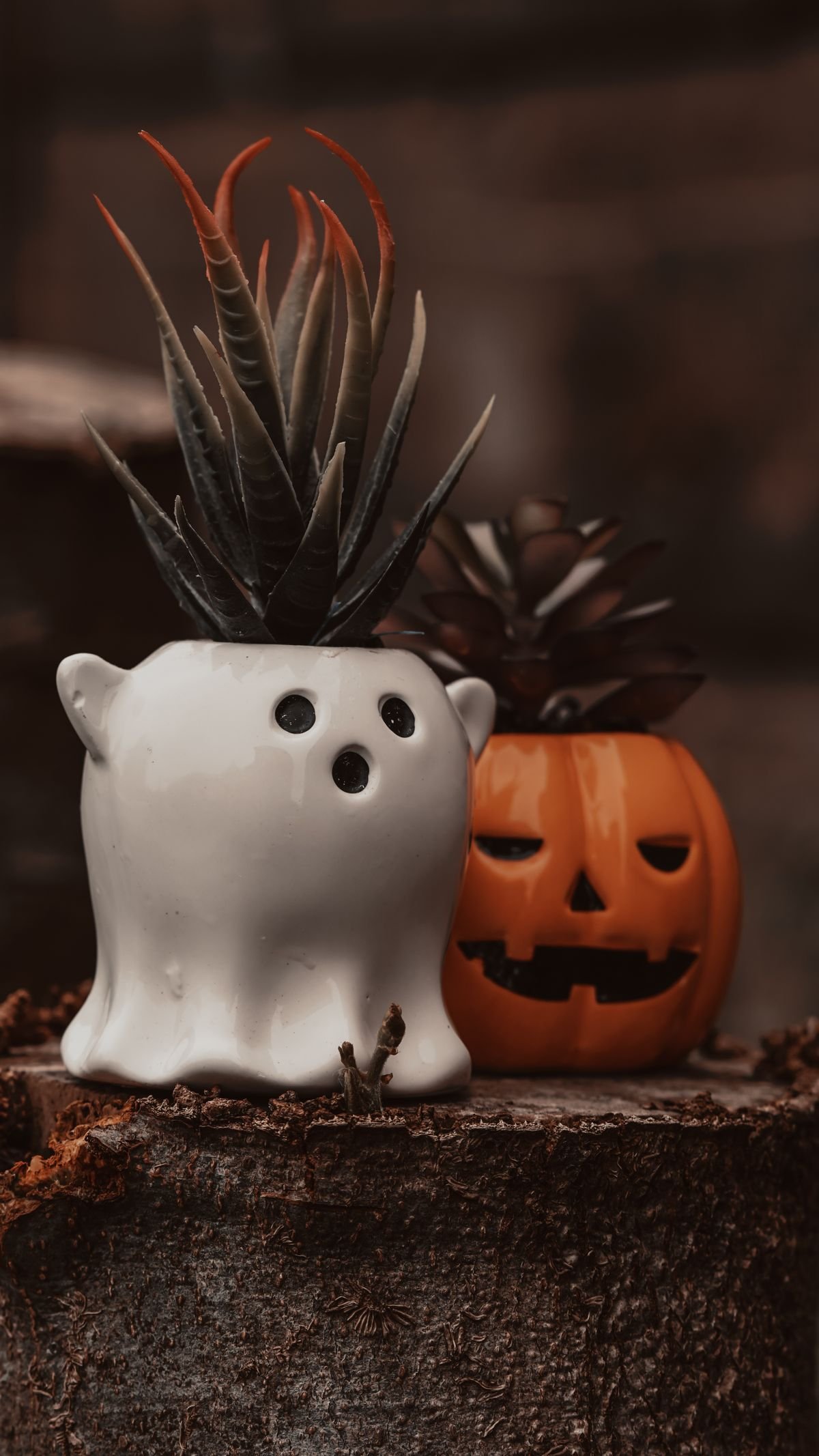 Pumpkin succulent planters - modern DIY Halloween home decor ideas