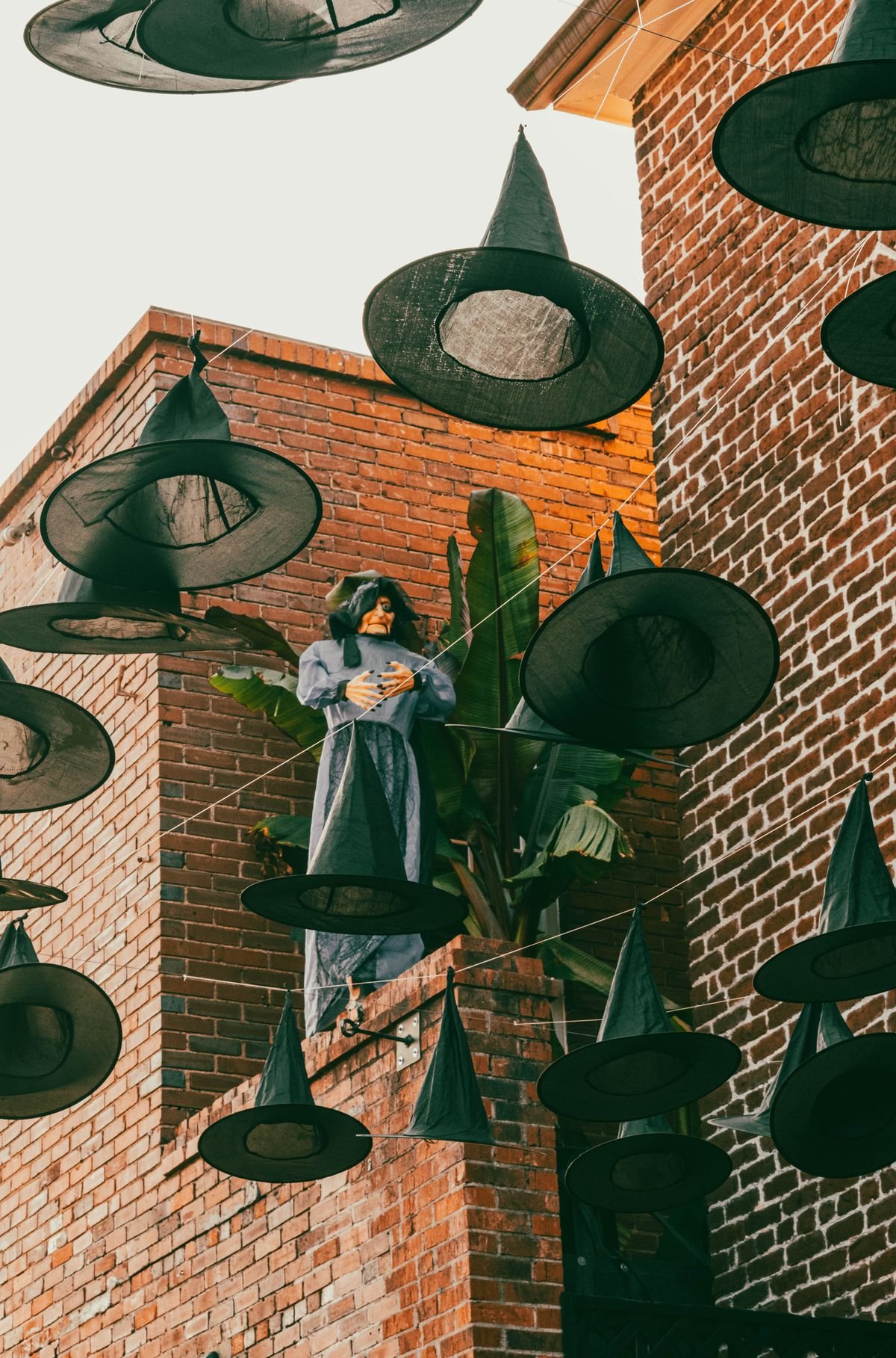 Pointed witch hats hanging from a ceiling