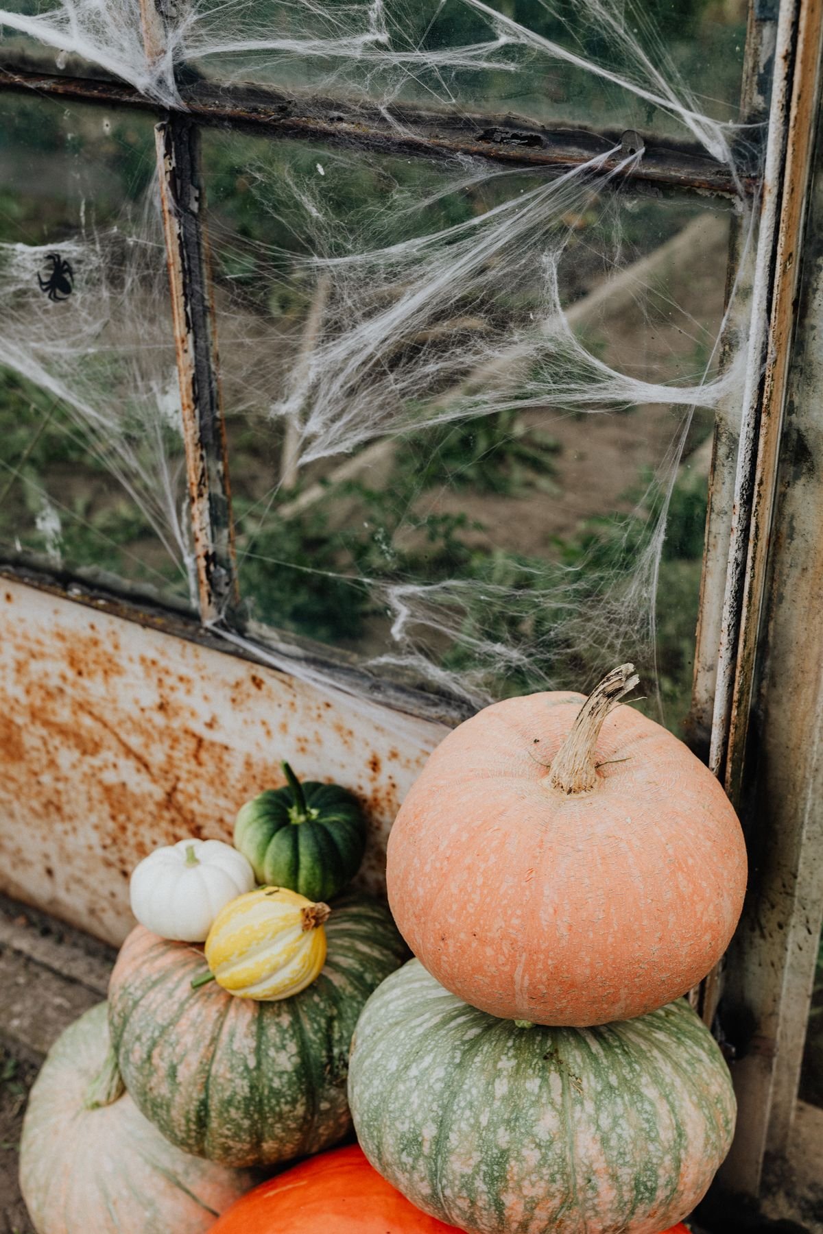 Felt trick or treat banner in vintage lettering